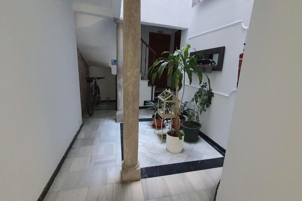 Aloja T Elvira Apartment Granada Exterior photo